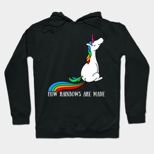 How Rainbows Are Made Hoodie